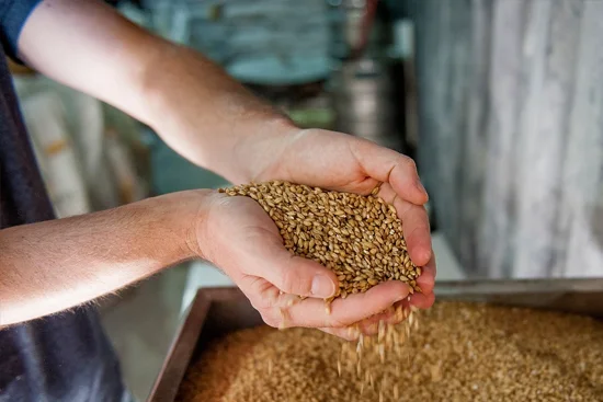 ISO 22000 Berater München