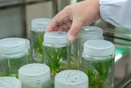 Qualitätsmanagement Biotechnologie